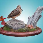 Woodcock with Habitat Base