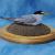 LEAST TERN - MA Audubon Society