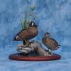 Bluewing Teal Pair with Habitat Base
